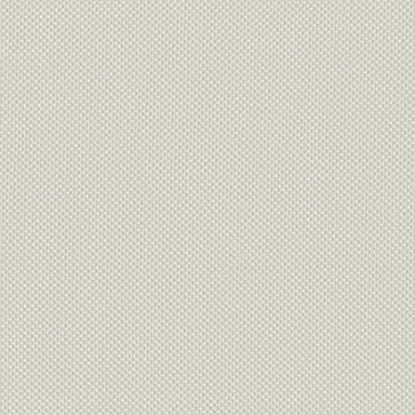 Picture of Nylon White - Canvas